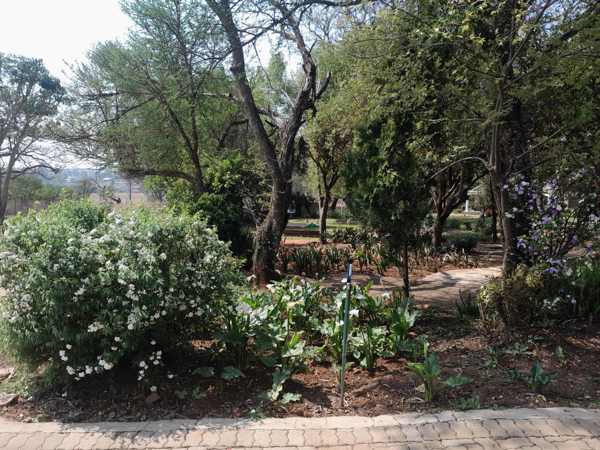 Longtom Farm Guesthouse Lydenburg Eksteriør bilde