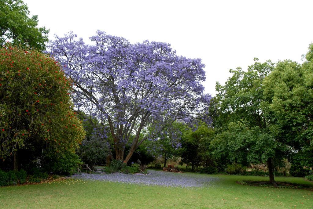 Longtom Farm Guesthouse Lydenburg Eksteriør bilde
